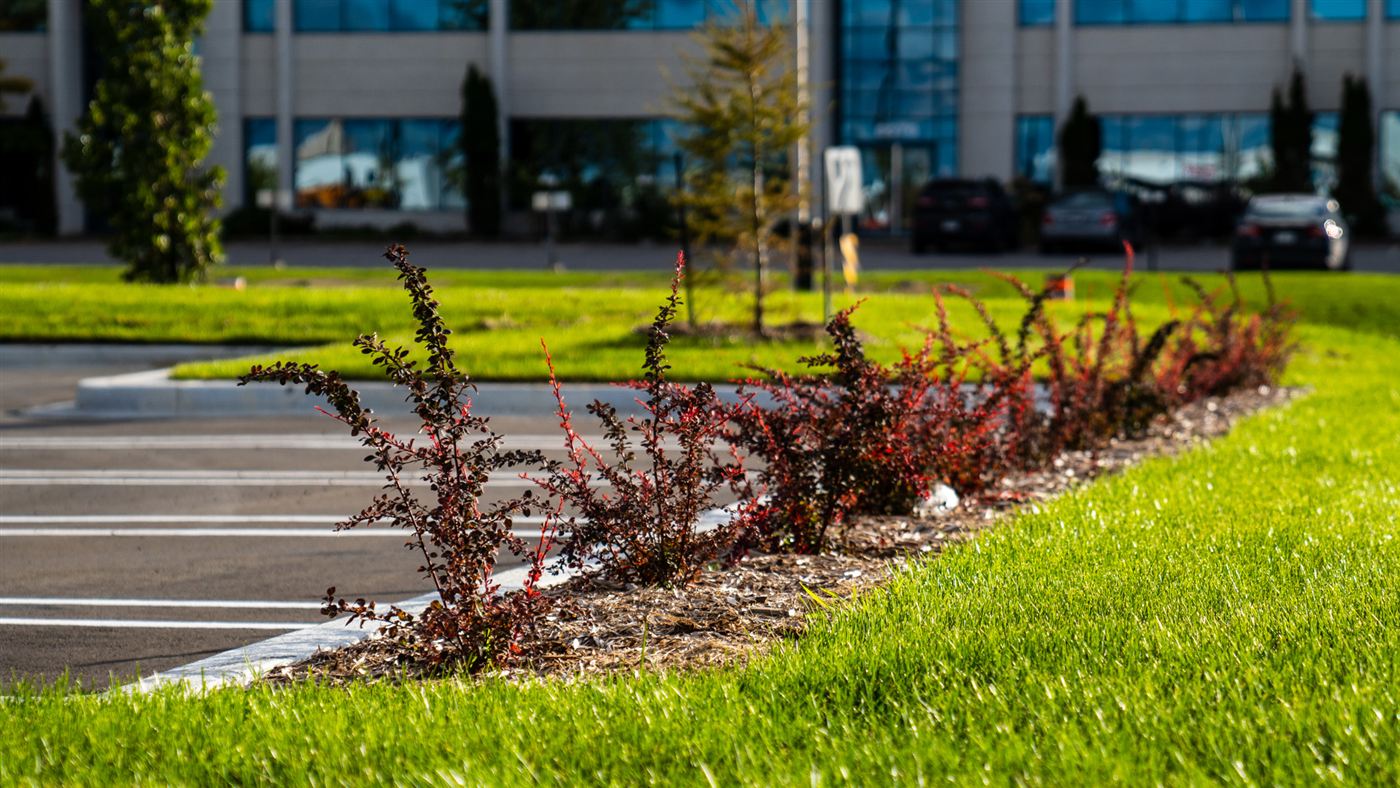 Freshly landscaped garden bed outside a commercial building in the Lower Mainland